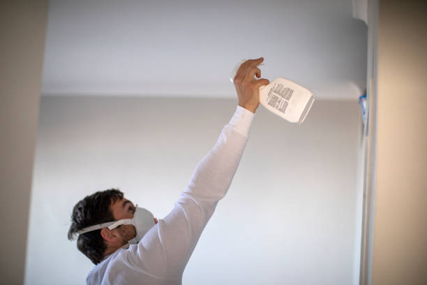 Best Mold Removal Company Near Me  in Shingletown, CA