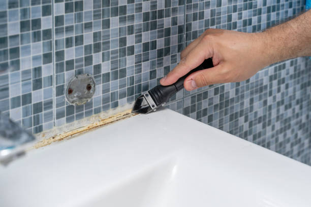 Best Commercial Mold Removal  in Shingletown, CA